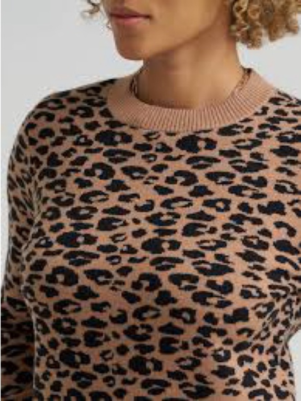 Leopard Print Crewneck Sweater - Camel/Black